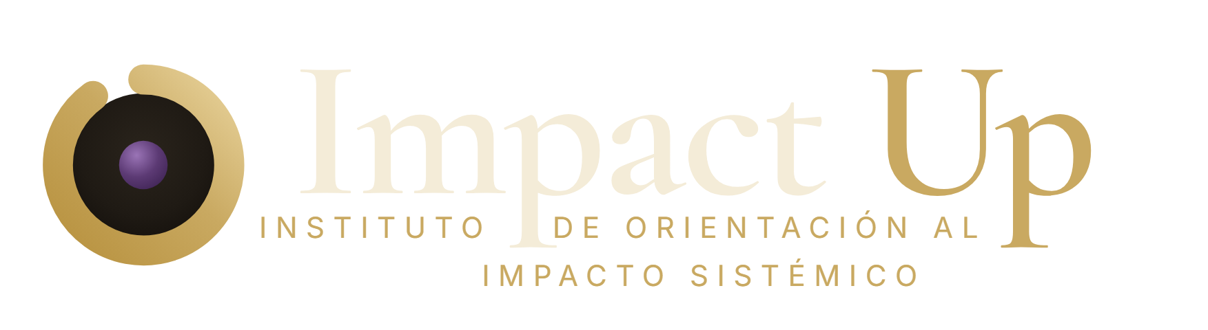 Impact Up – Instituto de Orientación al Impacto Sistémico
