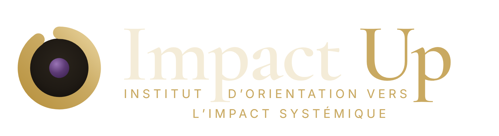 Impact Up – Institut d'Orientation vers l'Impact Systémique